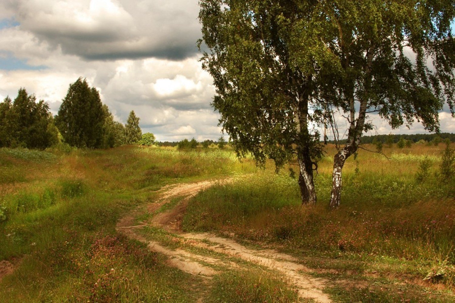 Просёлочная Лесная дорожка