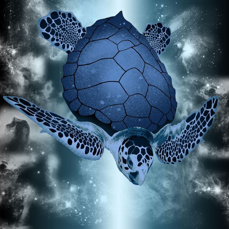 Галапагосские морские черепахи