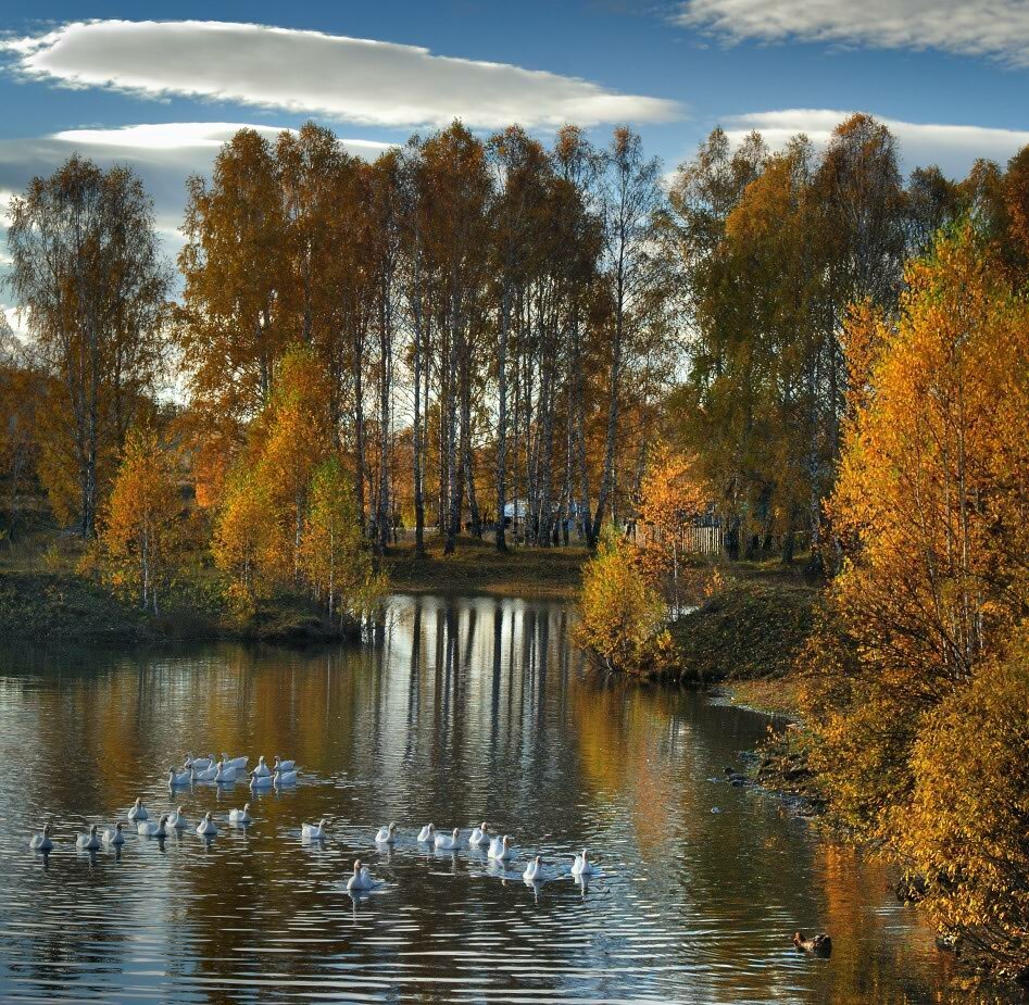 Доброе утро осень зрортая