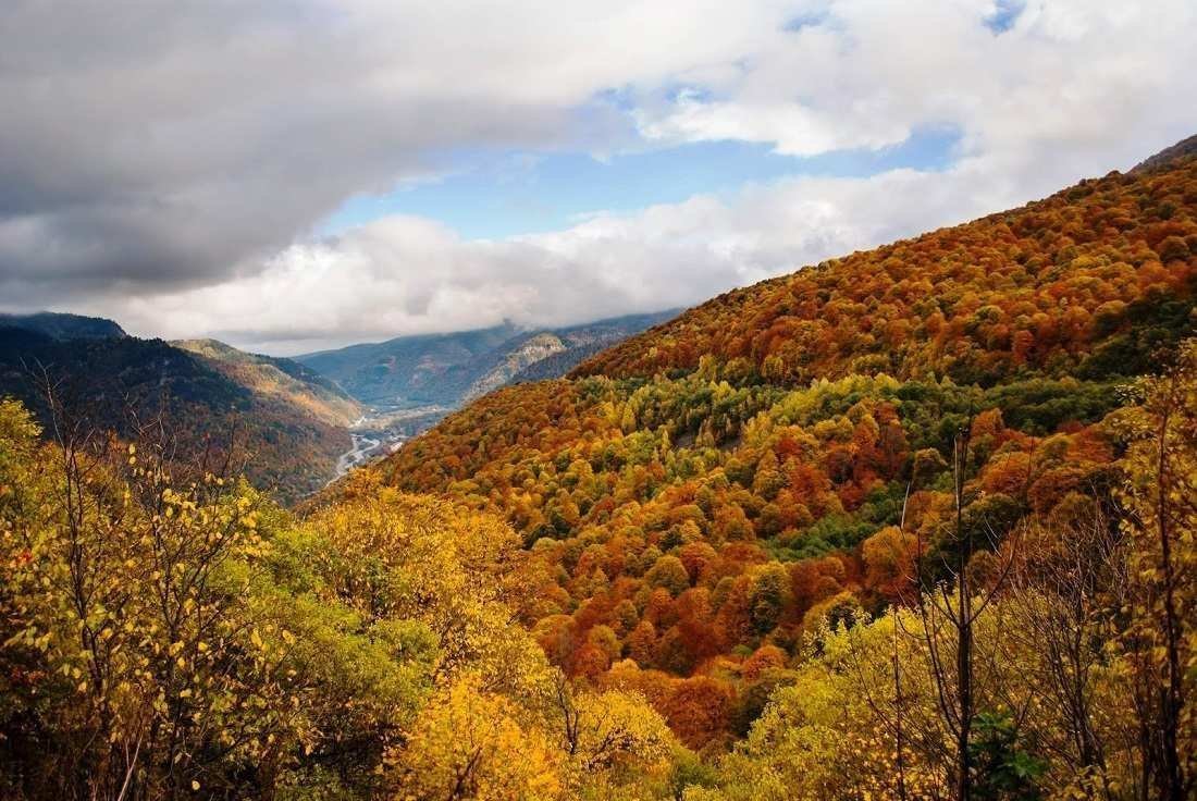 Красная Поляна горы осень