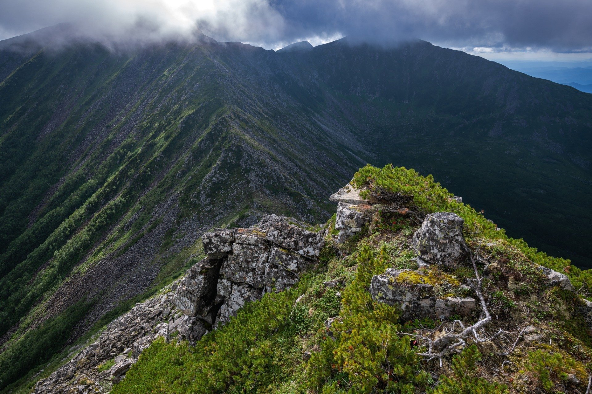 Негровец гора