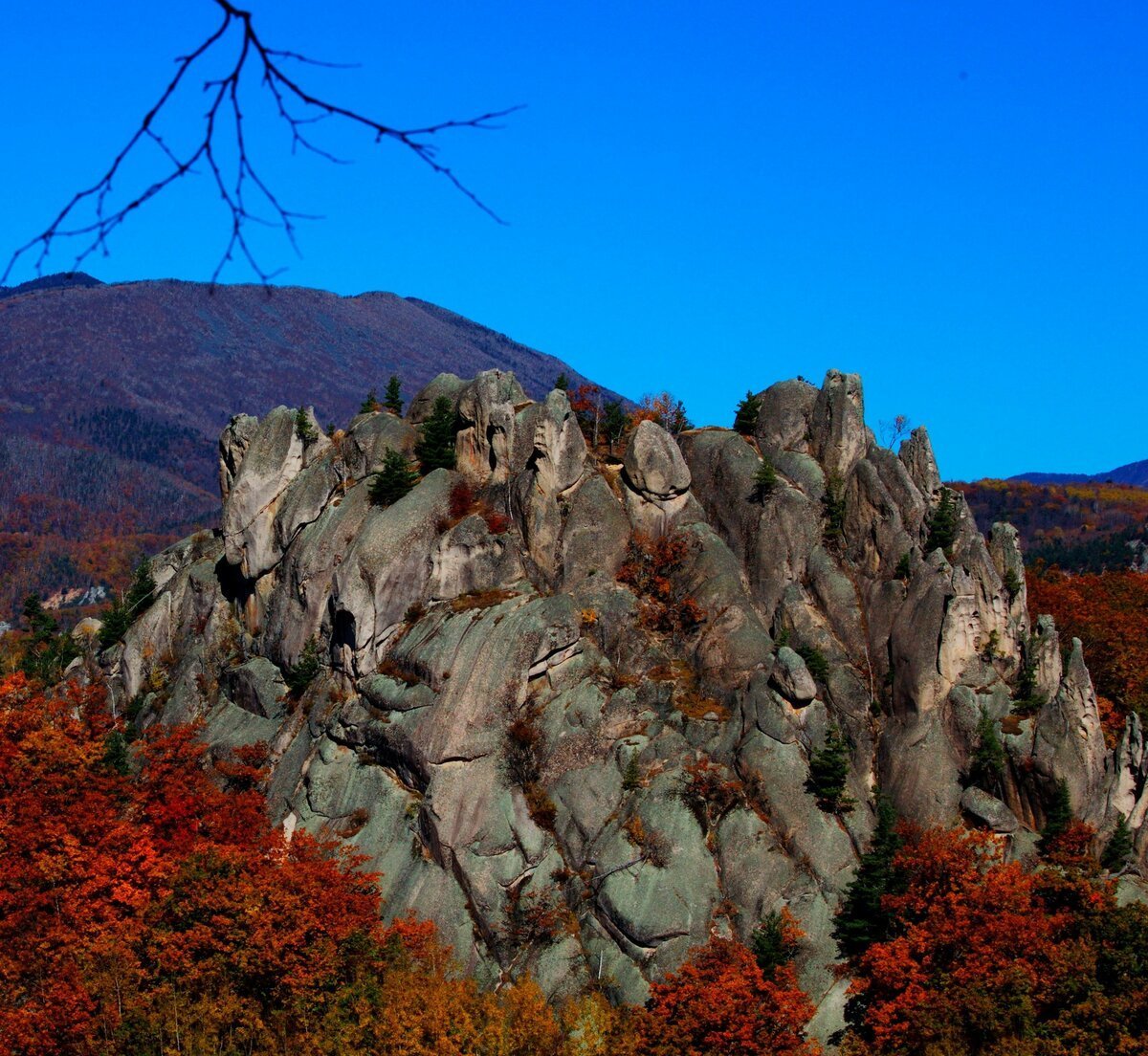 Сехаталинский заповедник