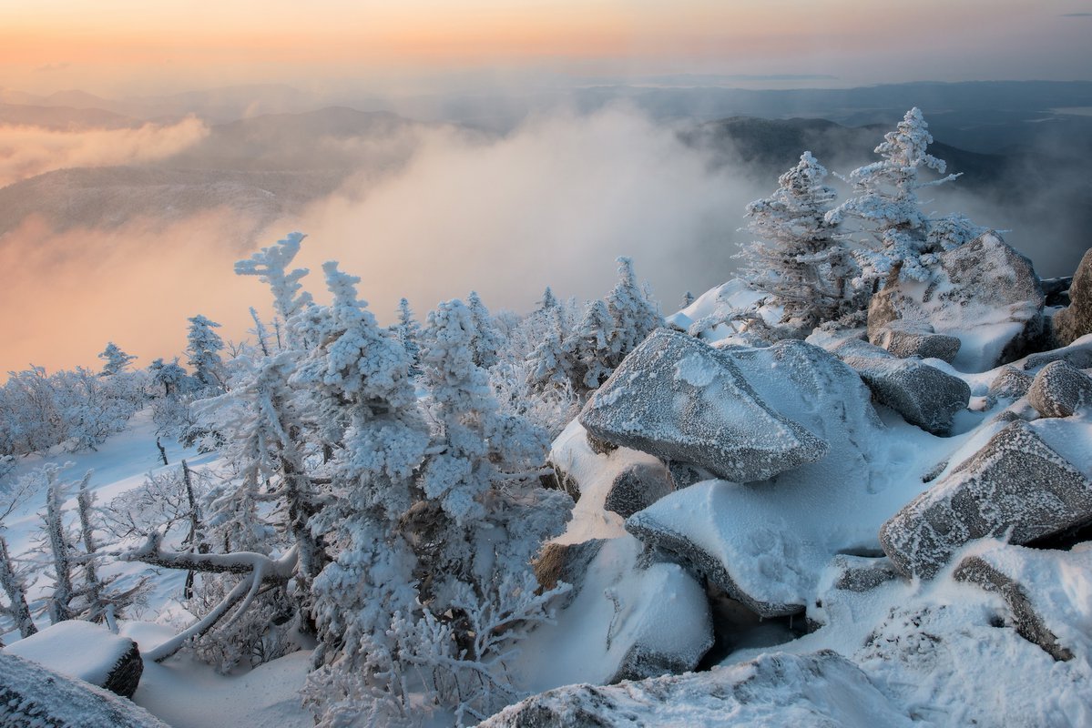 Тайга Красноярск зимой