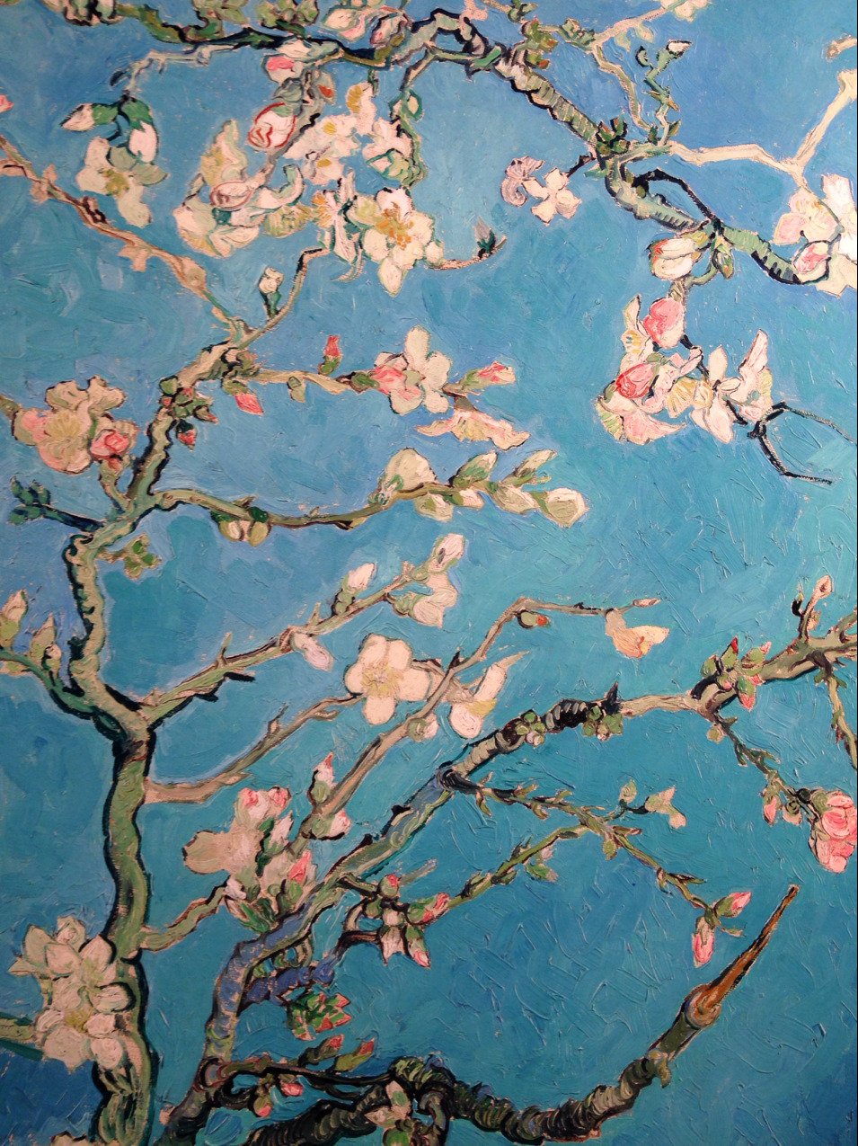 Van Gogh Almond Blossoms