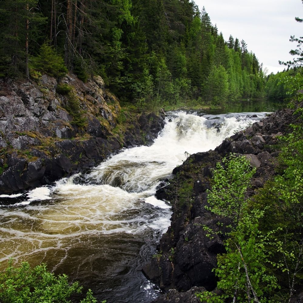 Суна Карелия