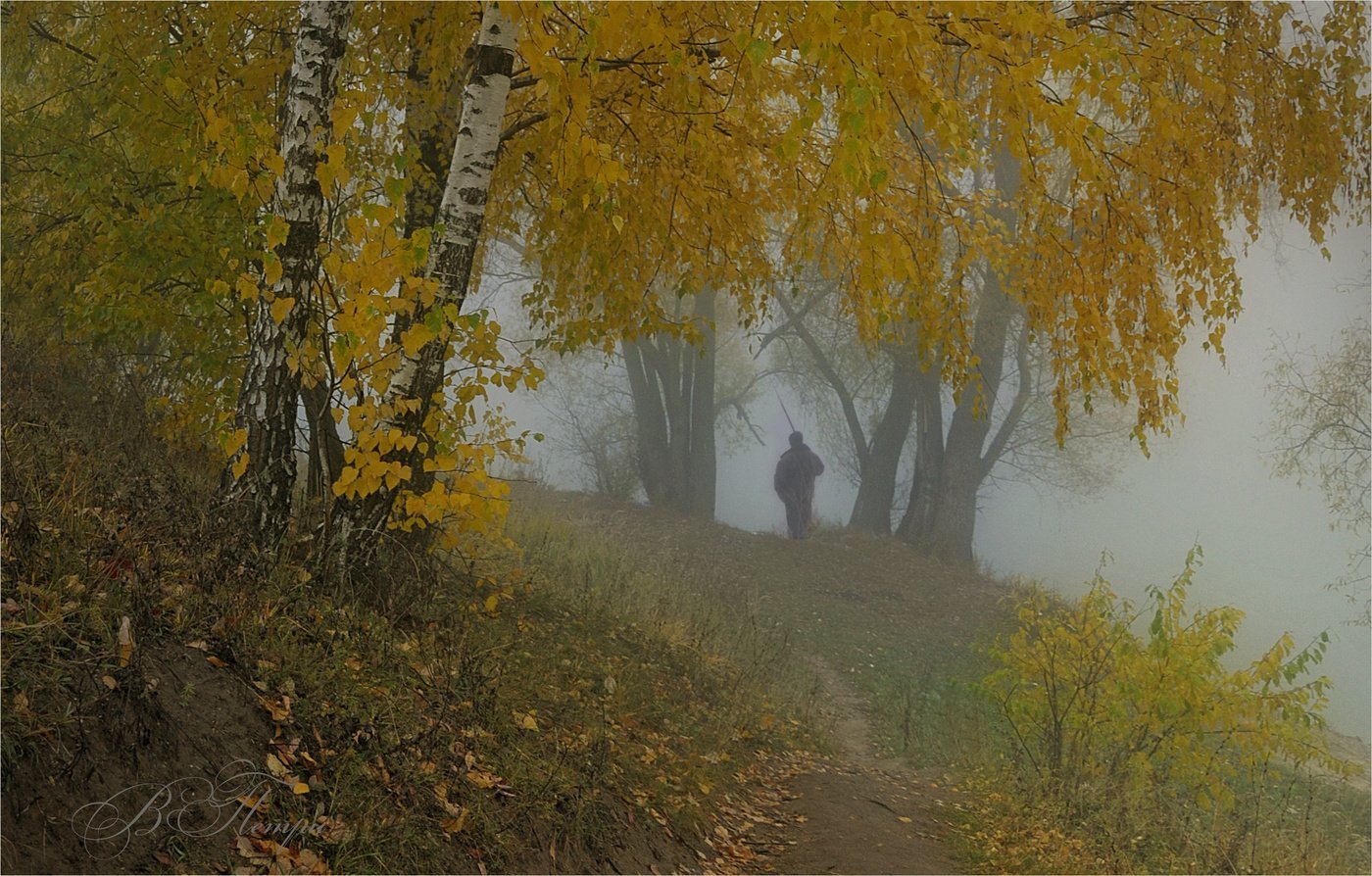 Ветер в октябре. Осень. Золотая дождливая осень. Осень дождь. Раннее осеннее утро.