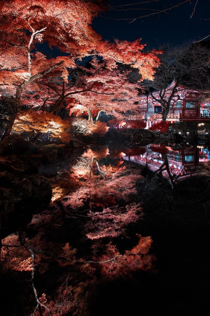 Киото ночью