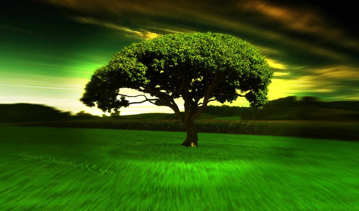 Зеленые Деревья