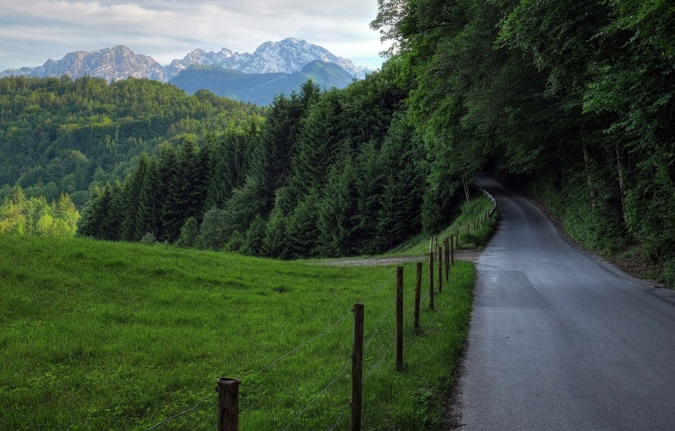 Швейцария дорога лес