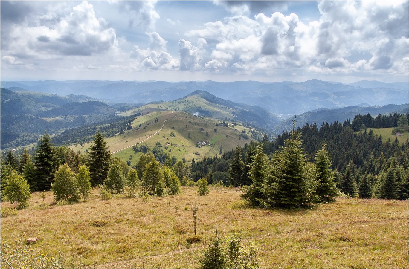 Гора Буковина Карпаты