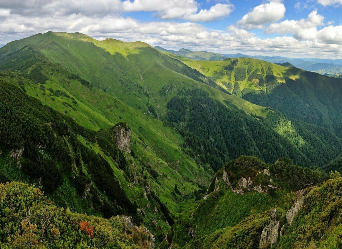 Гора Буковина Карпаты