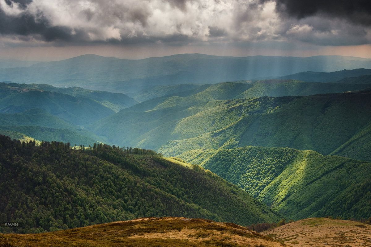 Карпаты горы Закарпатье