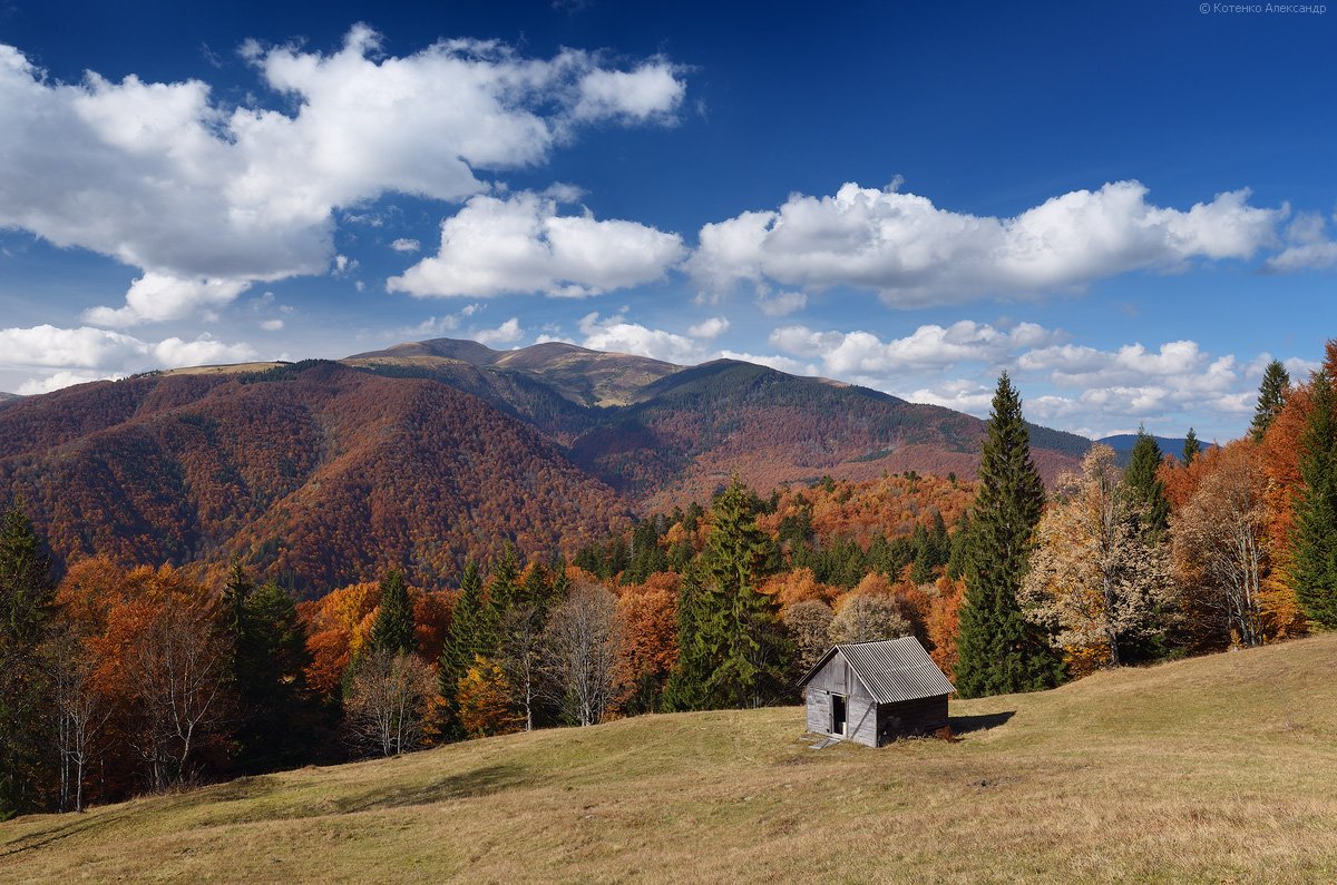 Карпатские горы Закарпатье