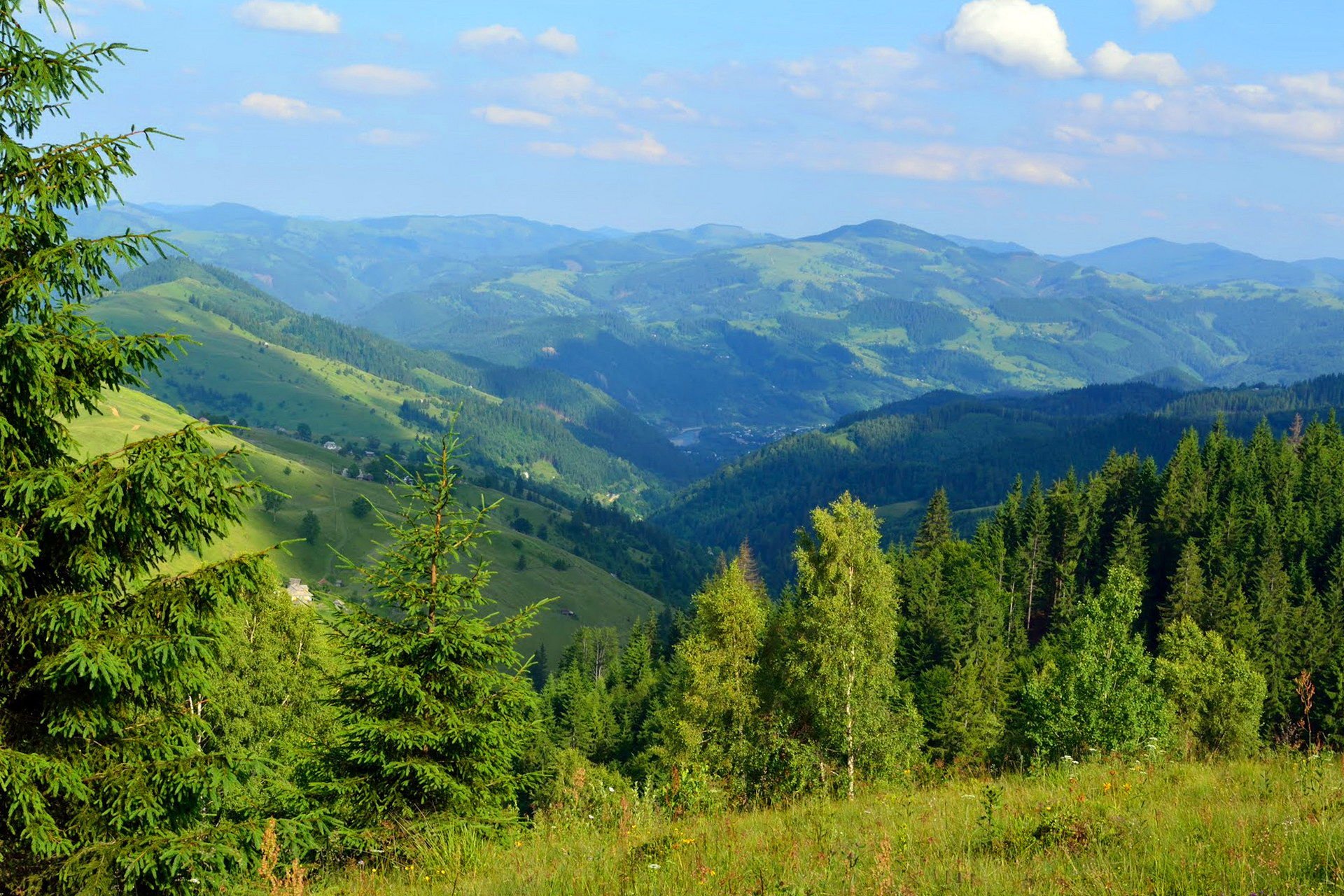 Карпаты горы Закарпатье