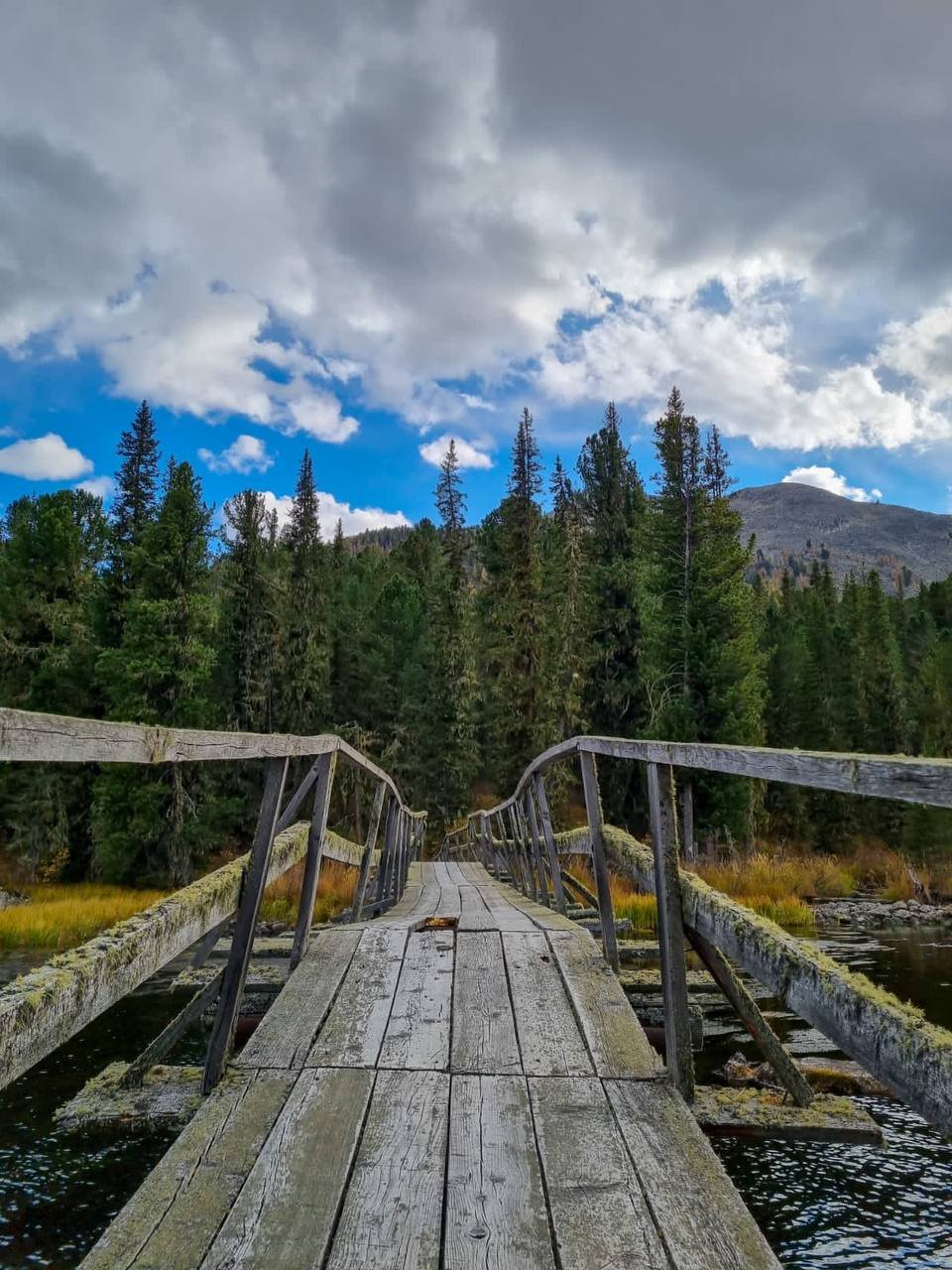 Катон-Карагай фото