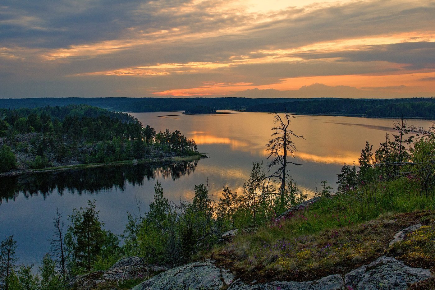 Осень Золотая Карелия Сегежа