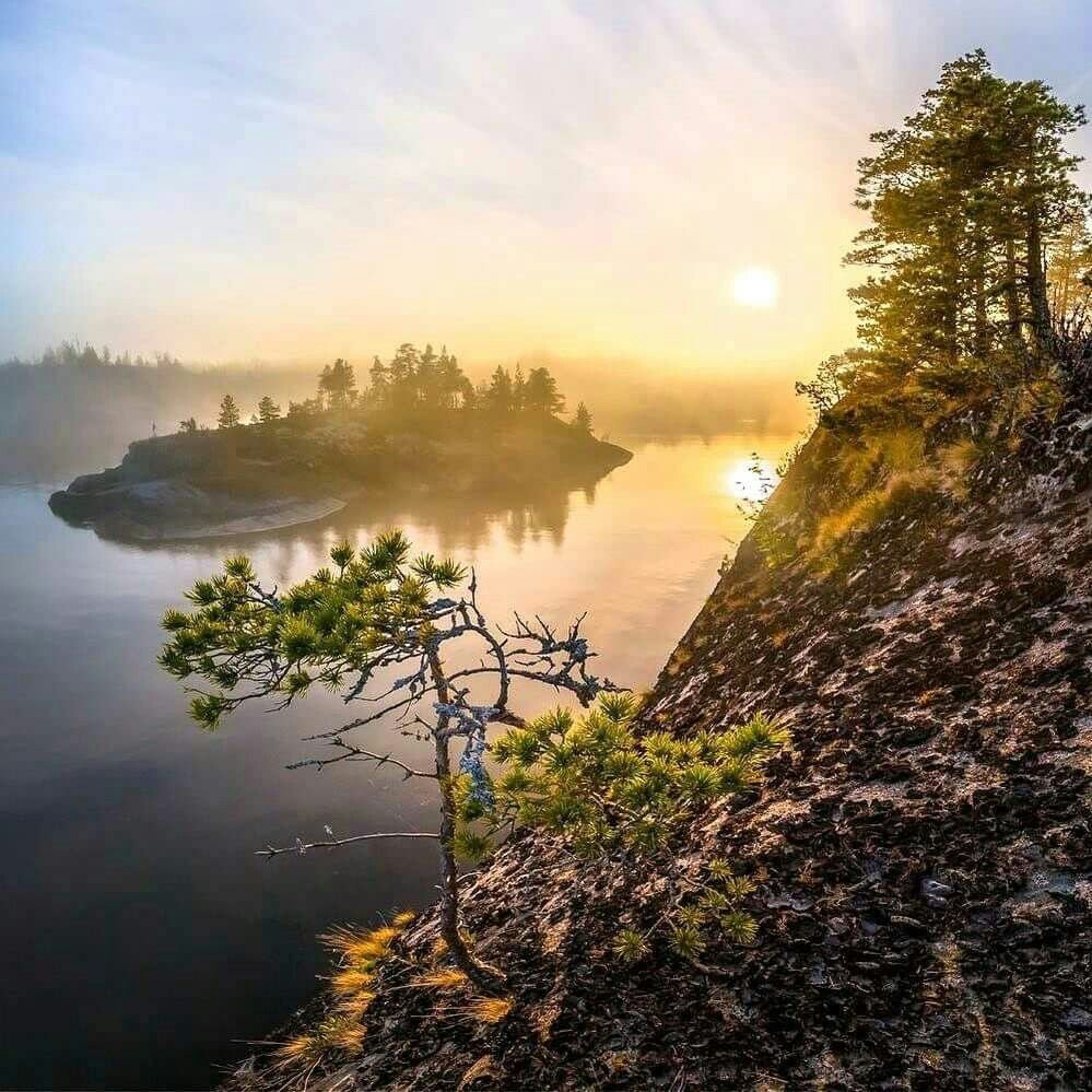 Озеро летнее Карелия