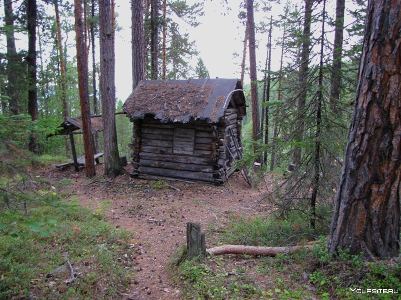 Сторожка в лесу