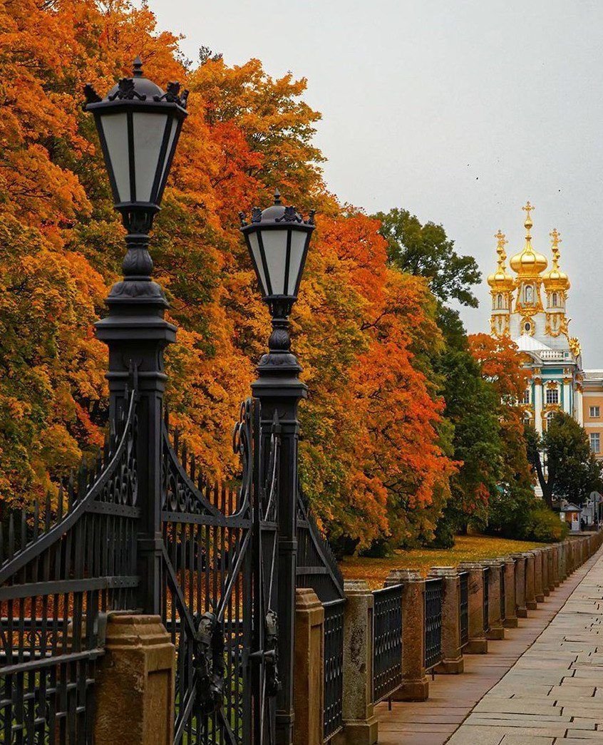 Осень в Екатерининском парке