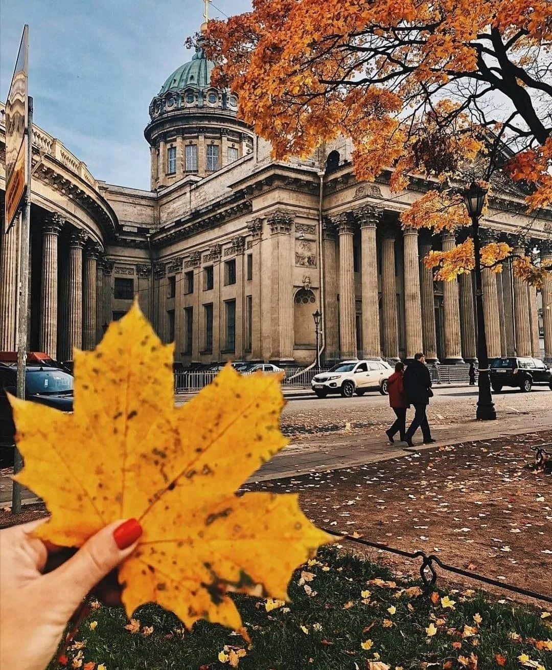 Золотая осень в СПБ Петроградка