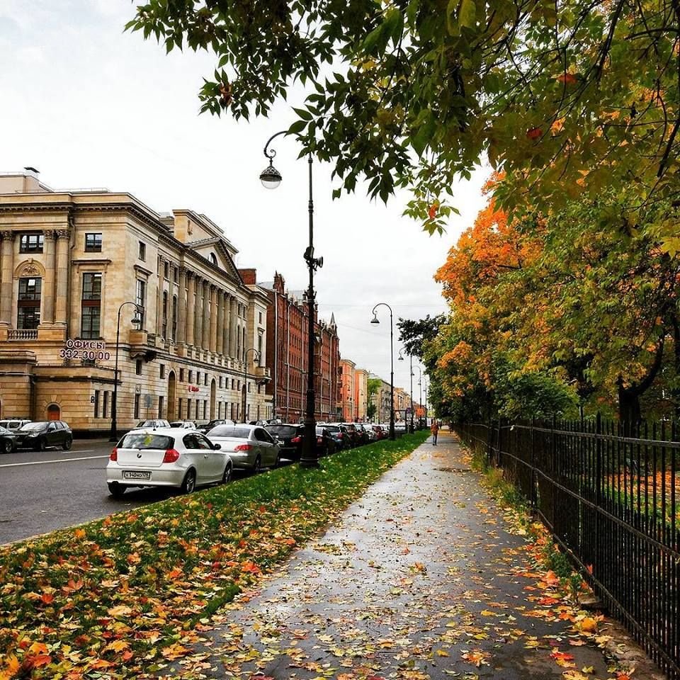 Питер осень Петроградка