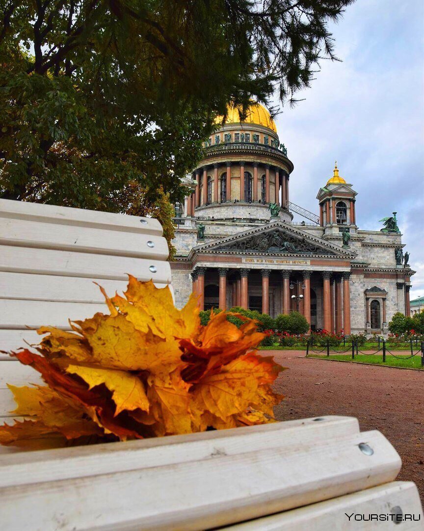 Золотая осень в СПБ Петроградка