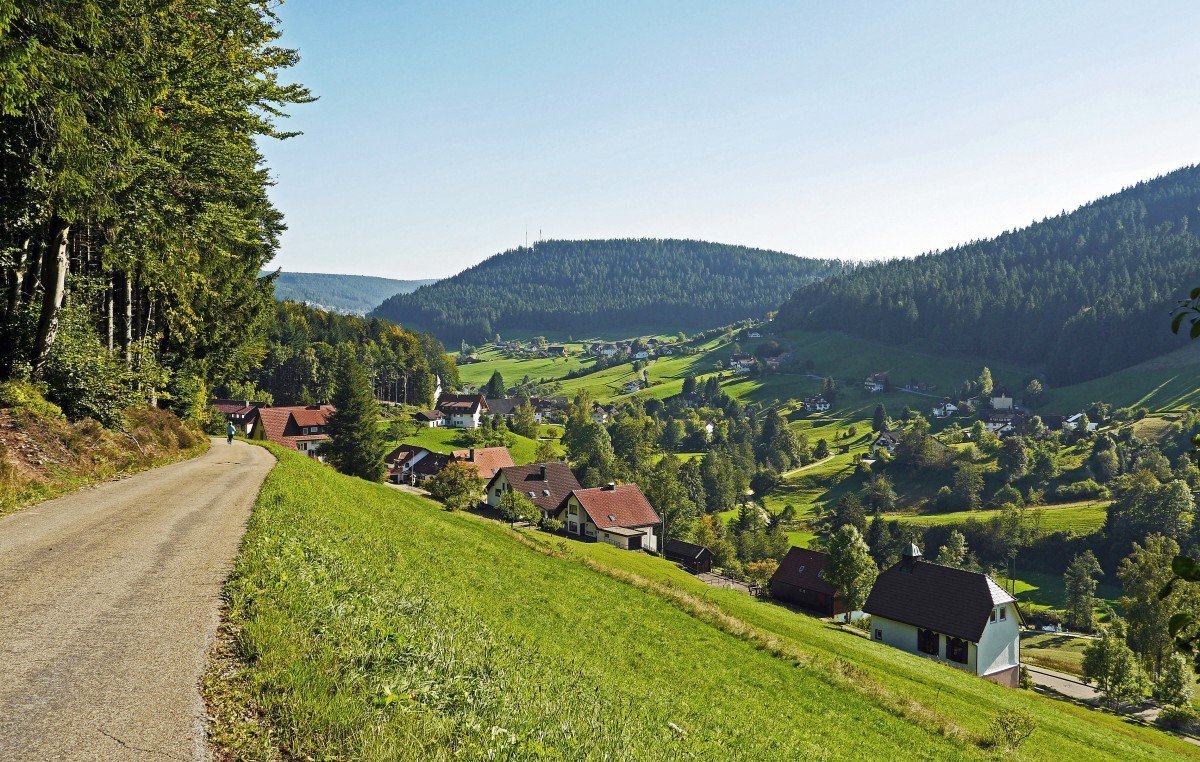 черный лес в германии