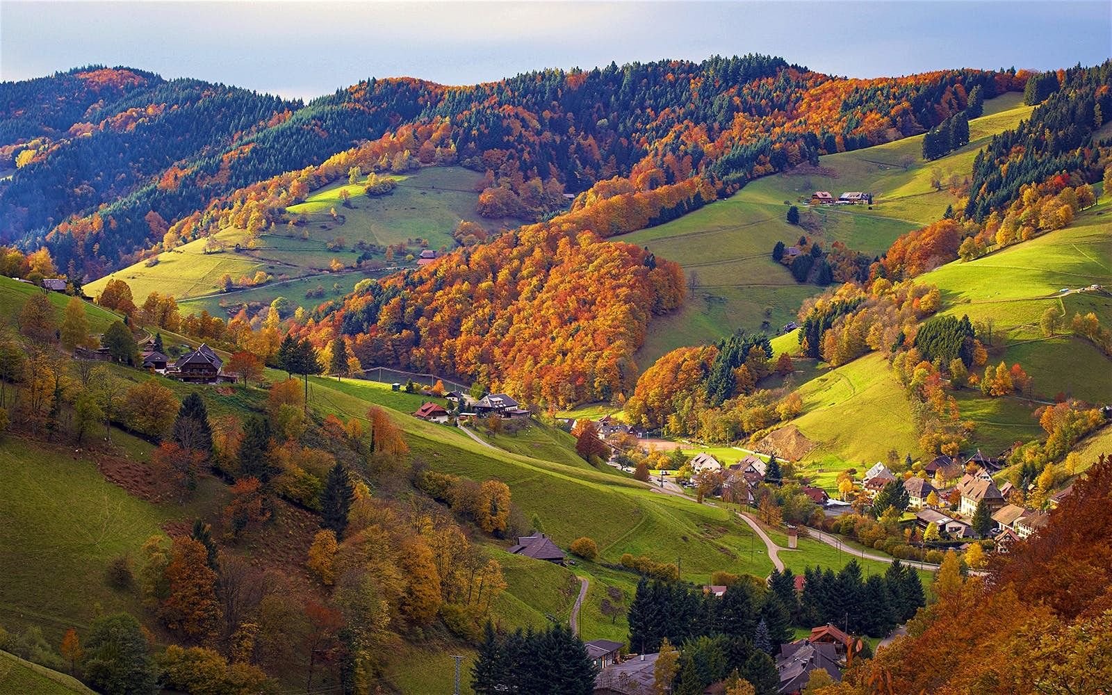 черный лес в германии