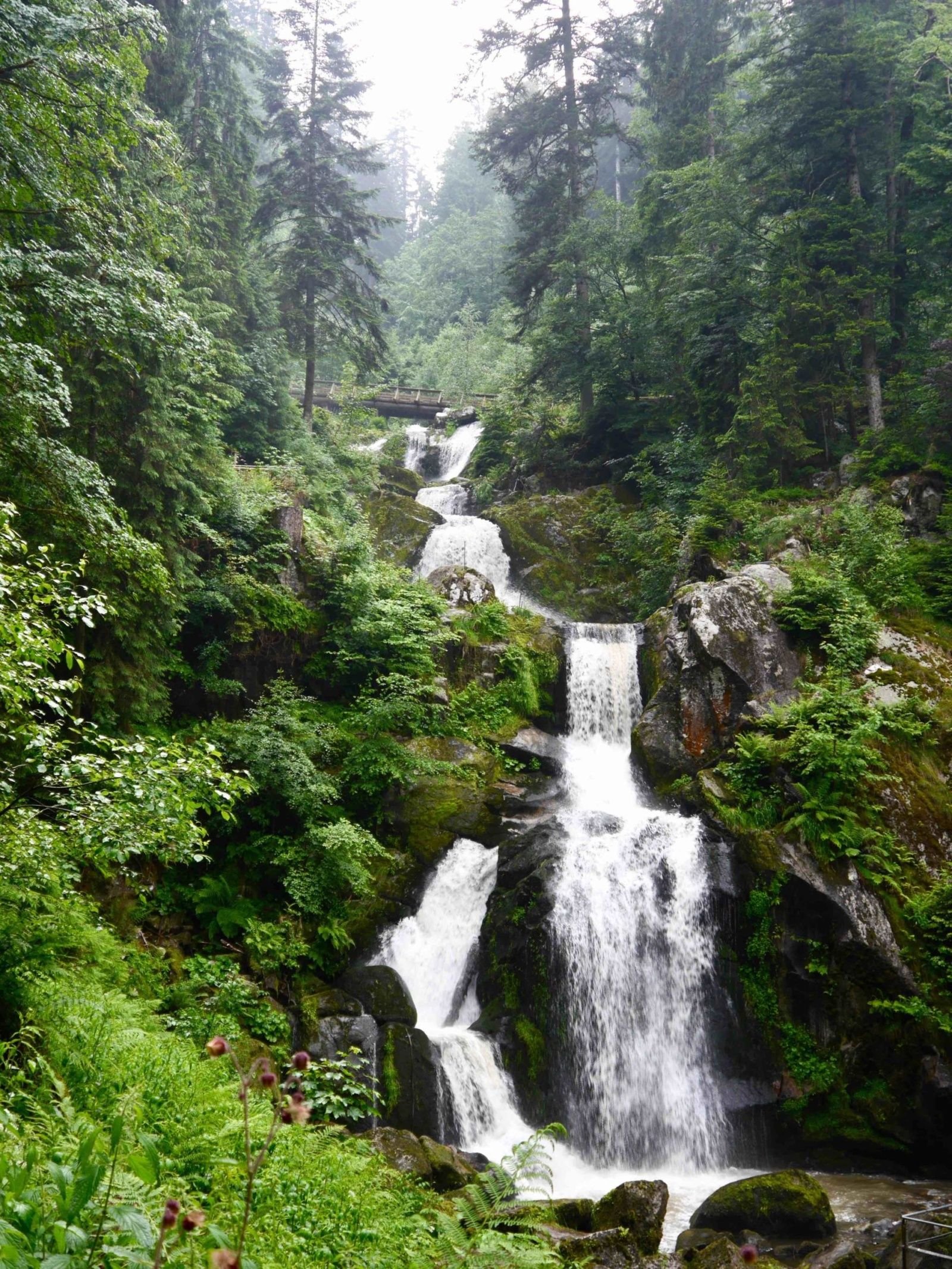 Шварцвальд водопады