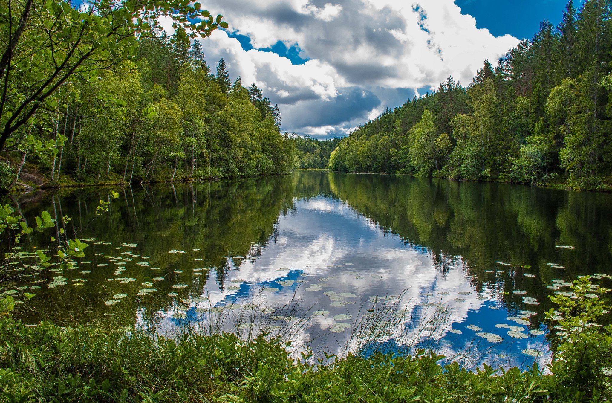 красивое озеро в лесу