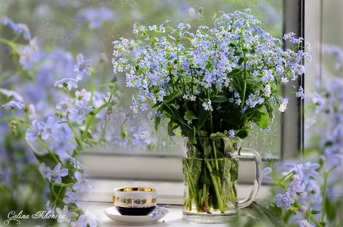 Картинки с добрым утром с цветами весной. Цветы на окне. Утренние цветы. Полевые цветы на окне. Весенний букет на окне.