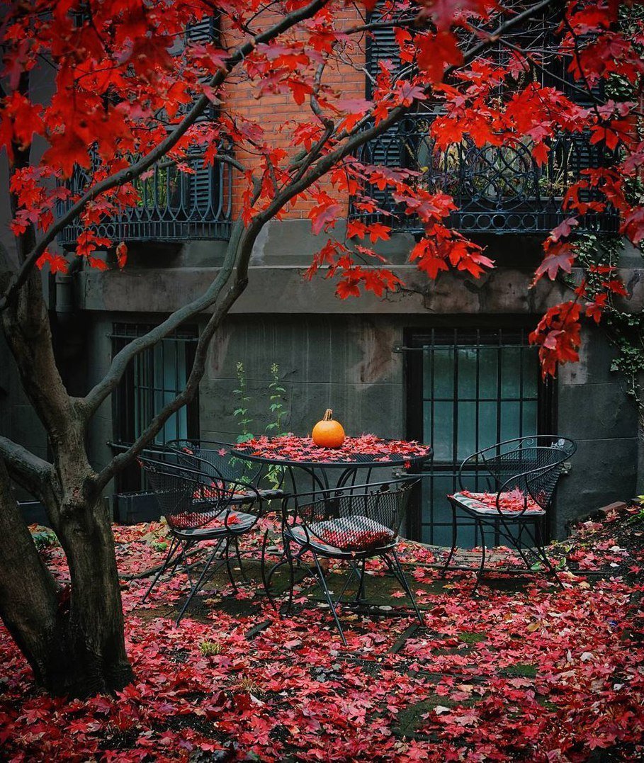 Осень в саду