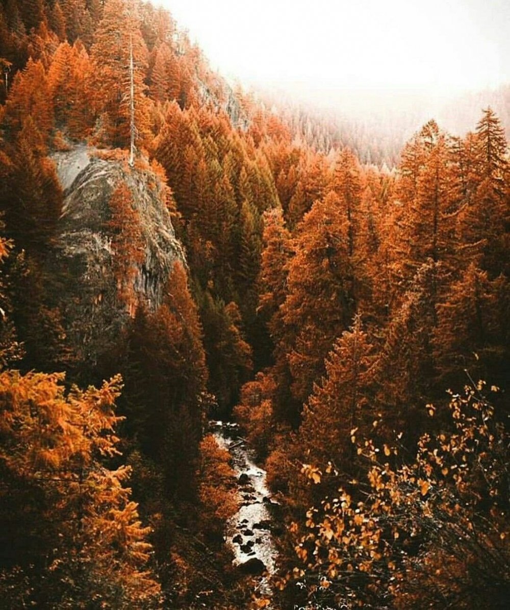 Осень Эстетика природа