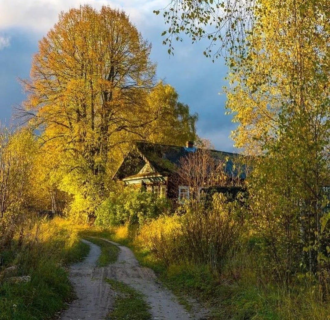 Осень природа деревня