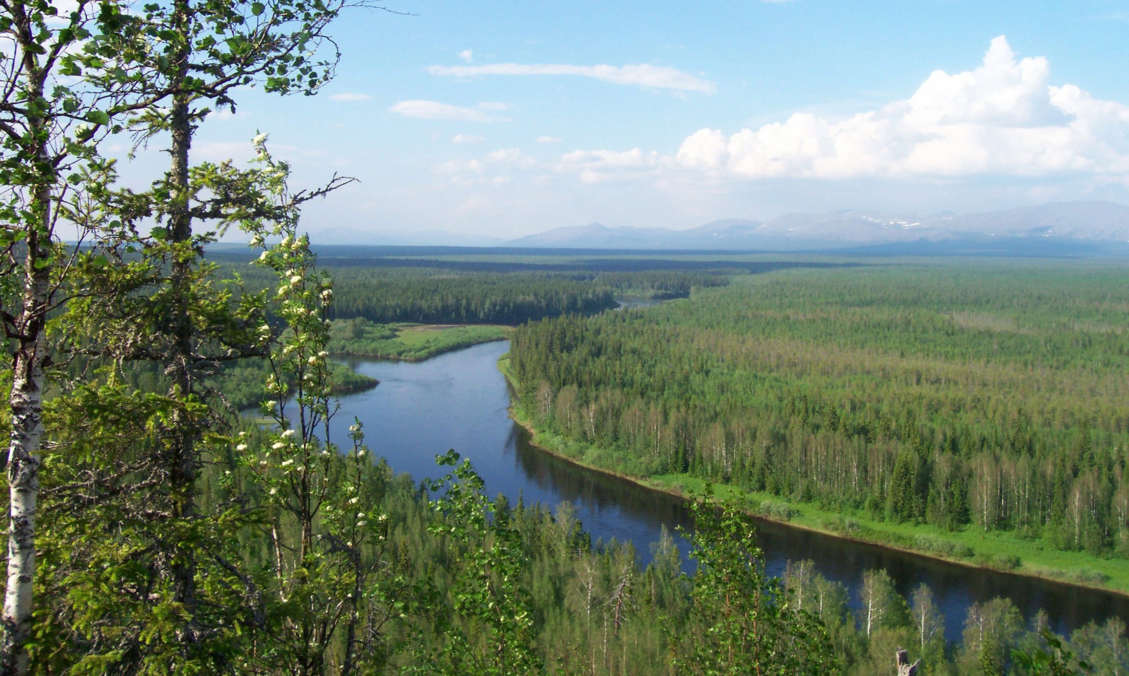 Реки республики. Река Илыч Республика Коми. Река Седью Республика Коми. Республика Коми Троицко-Печорский район. Троицко Печорск Коми Печора река.