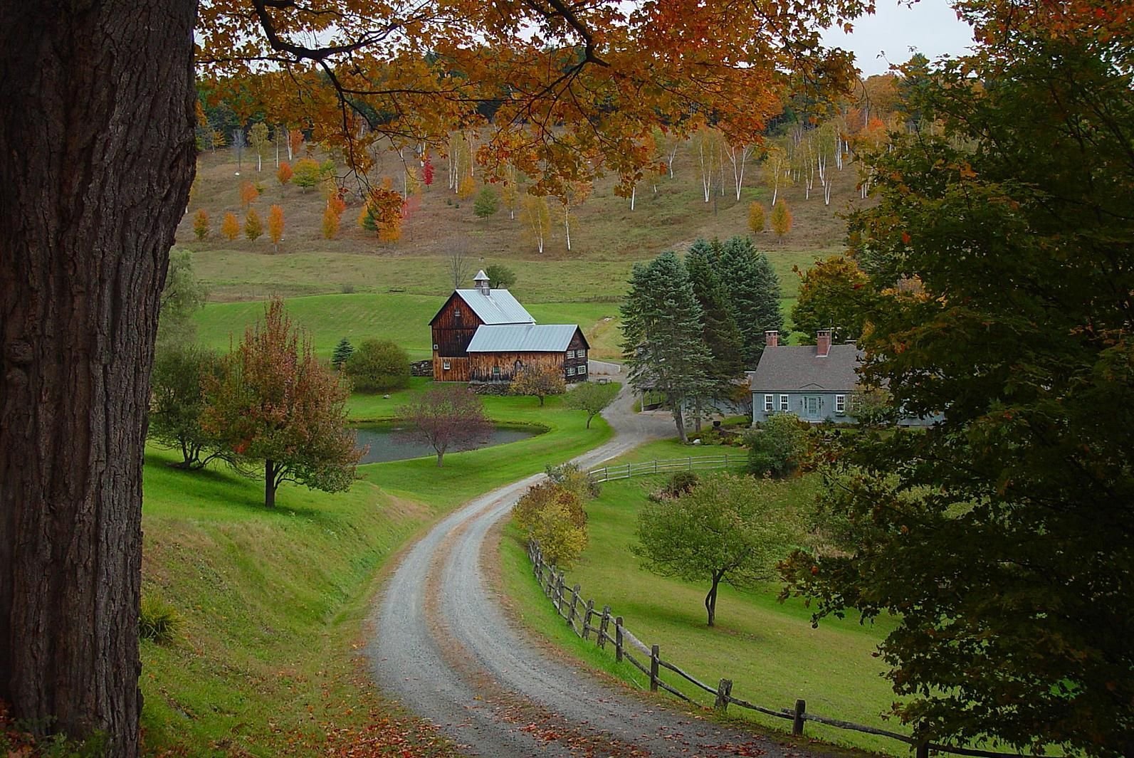 фото природы осенью в деревне