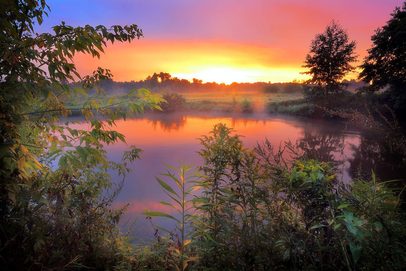 Картинки лес река восход