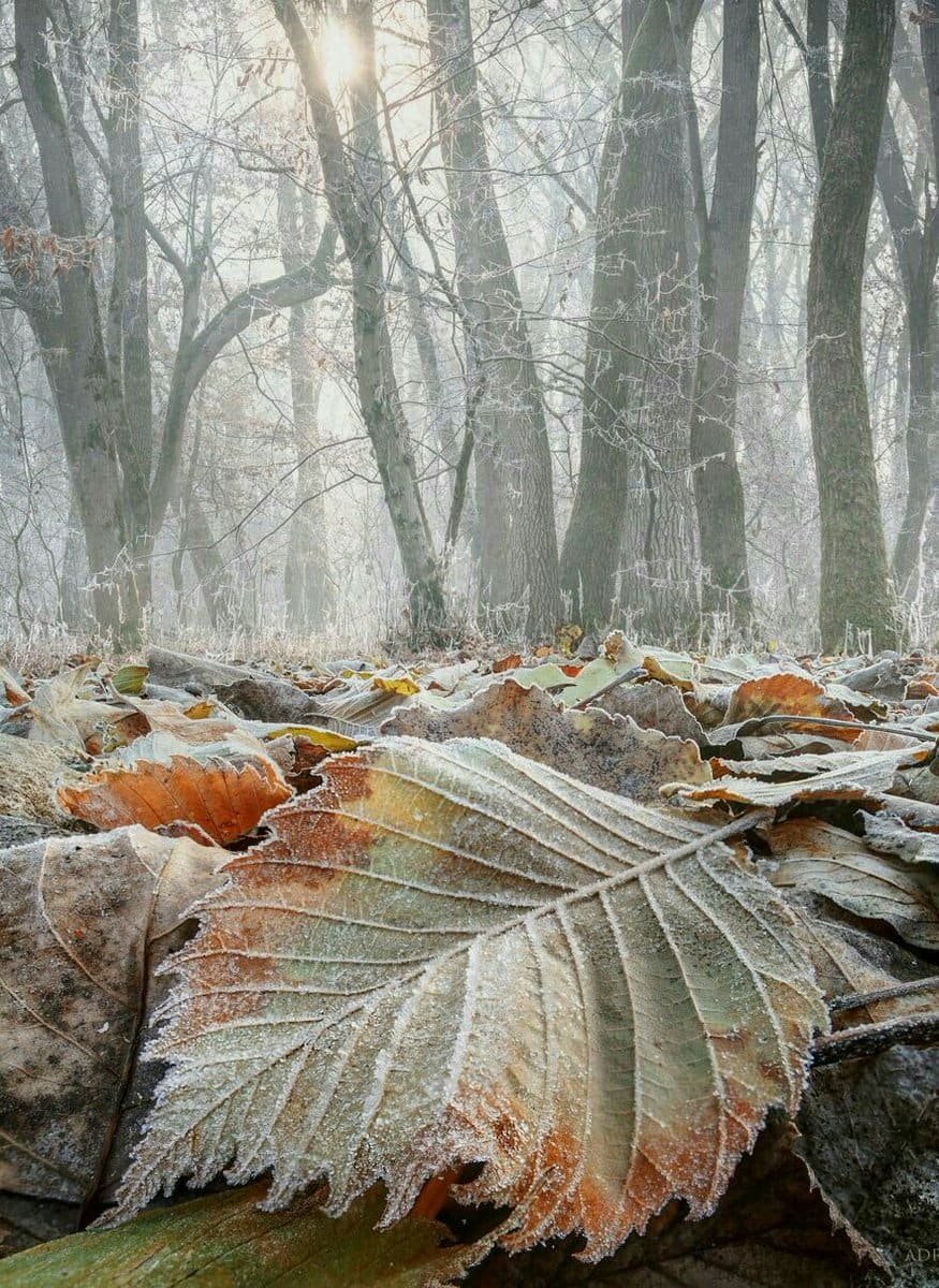 Осенние размышления