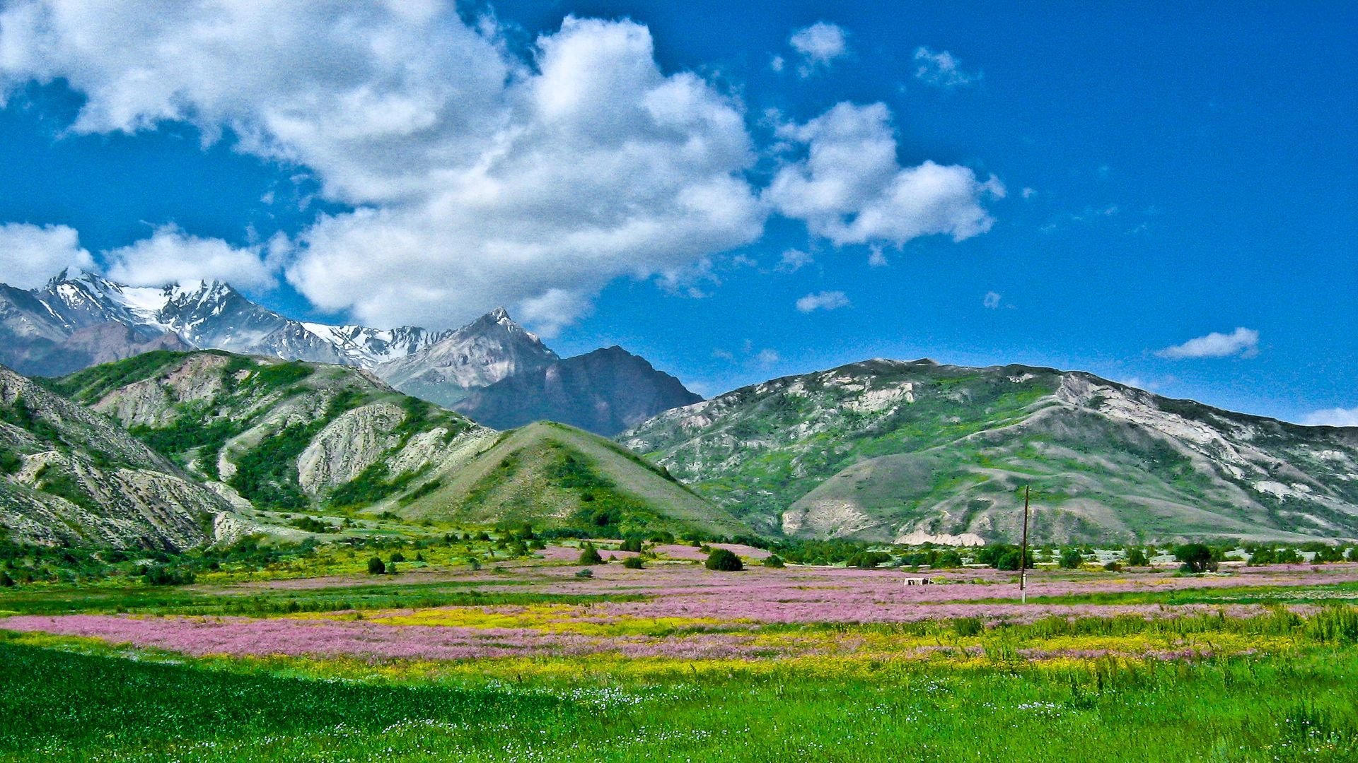 Жайлау Казахстана