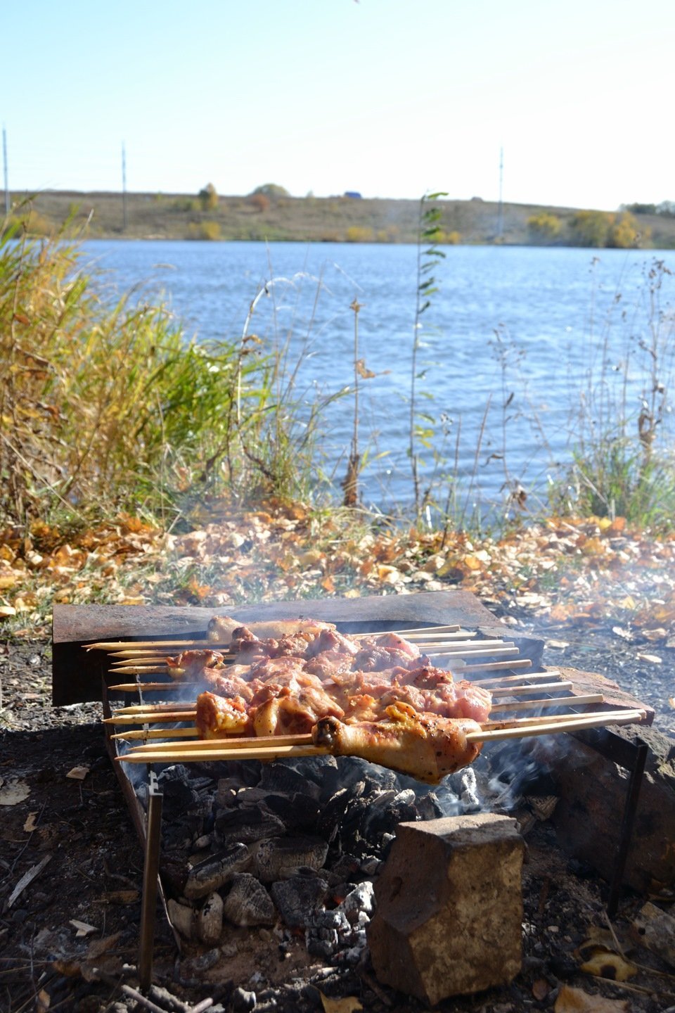 шашлыки на озере