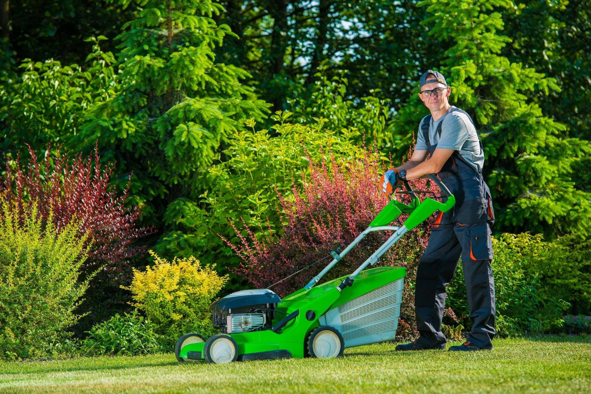 Garden work. Газонокосилка Gardener RM-1600. Стрижка газона. Стрижка газона триммером. Газонокосилка на газоне.