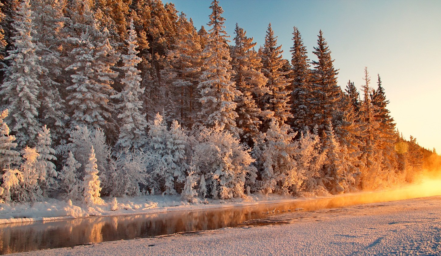 Тайга Красноярск зимой