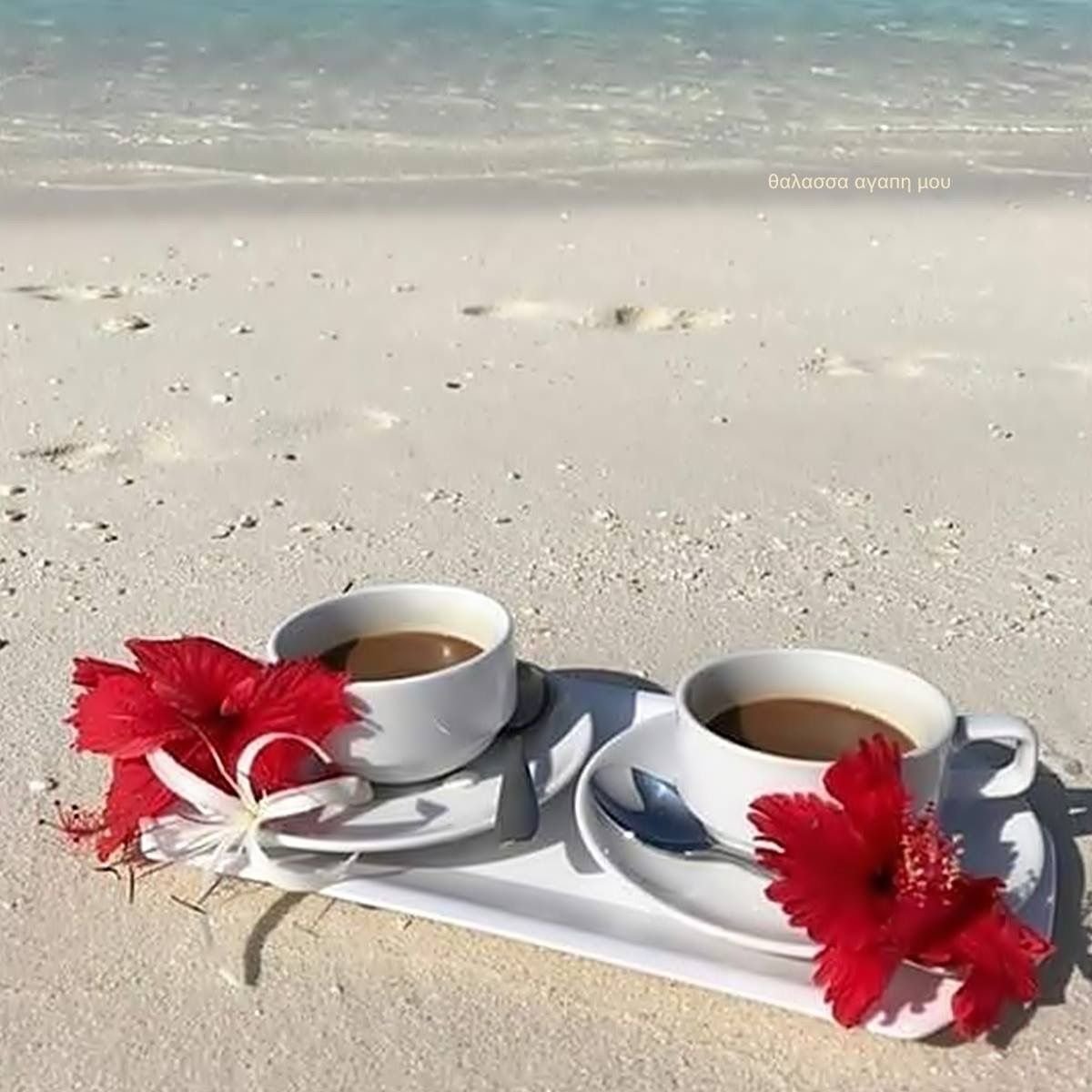 Утро море кофе цветы