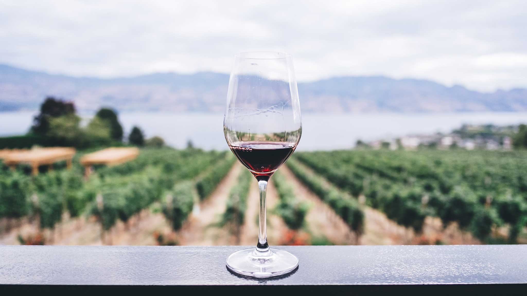 Грузия горы красное вино