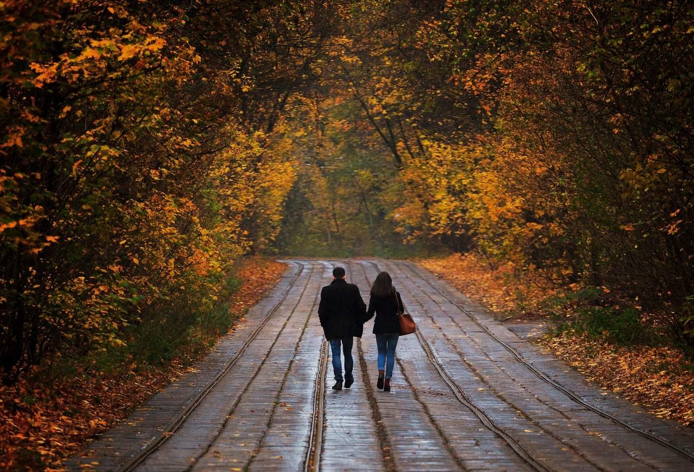 Осенний парк с людьми