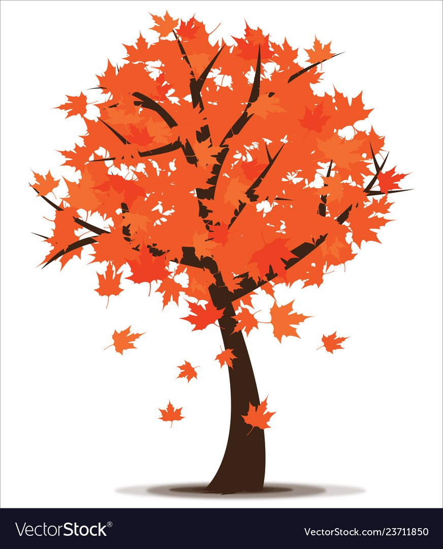 Осенние листочки деревьев