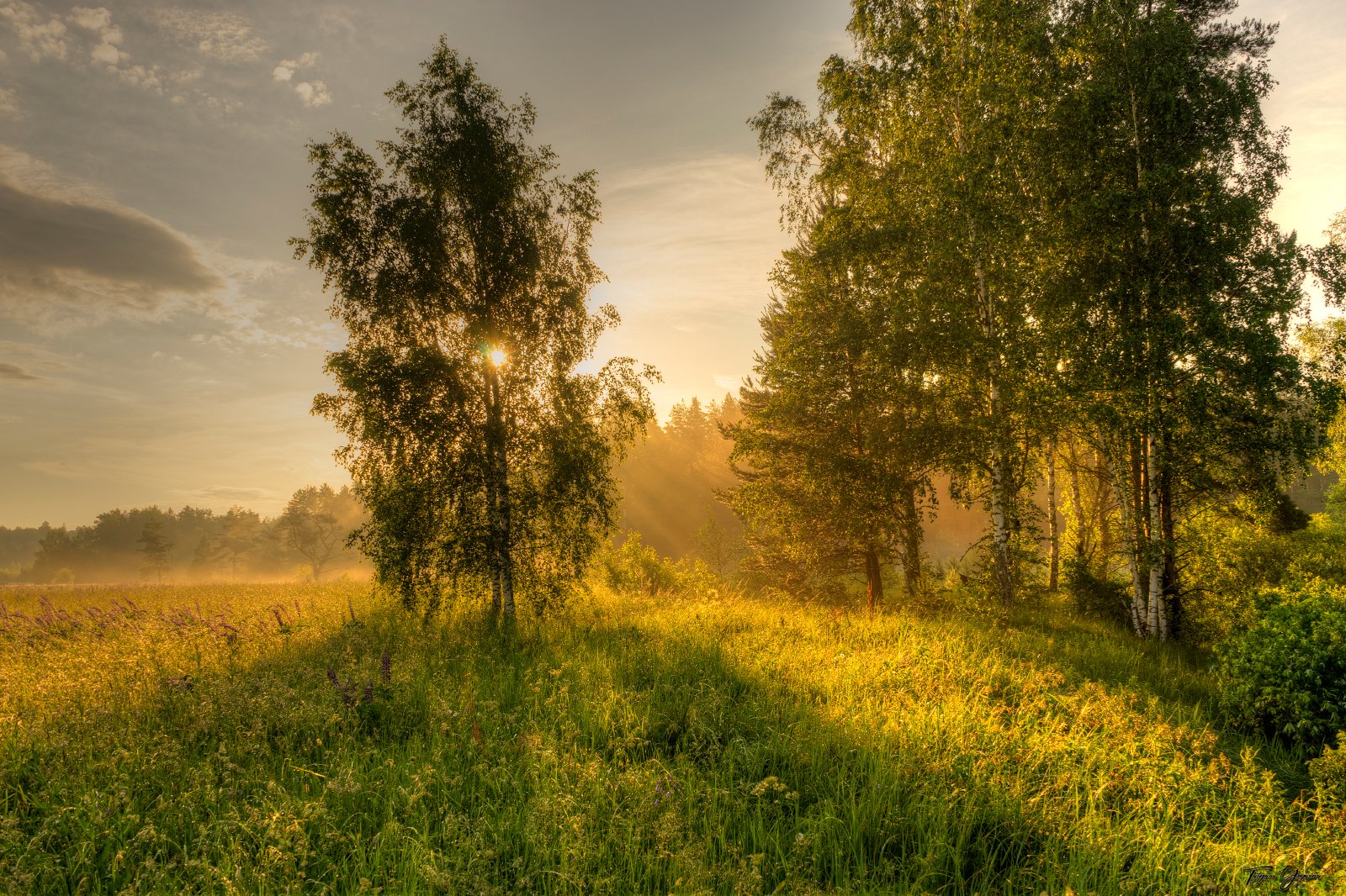 Российская природа. Владимир Рябков фотопейзажи. Пейзажи России. Красивые пейзажи России. Лето в России.