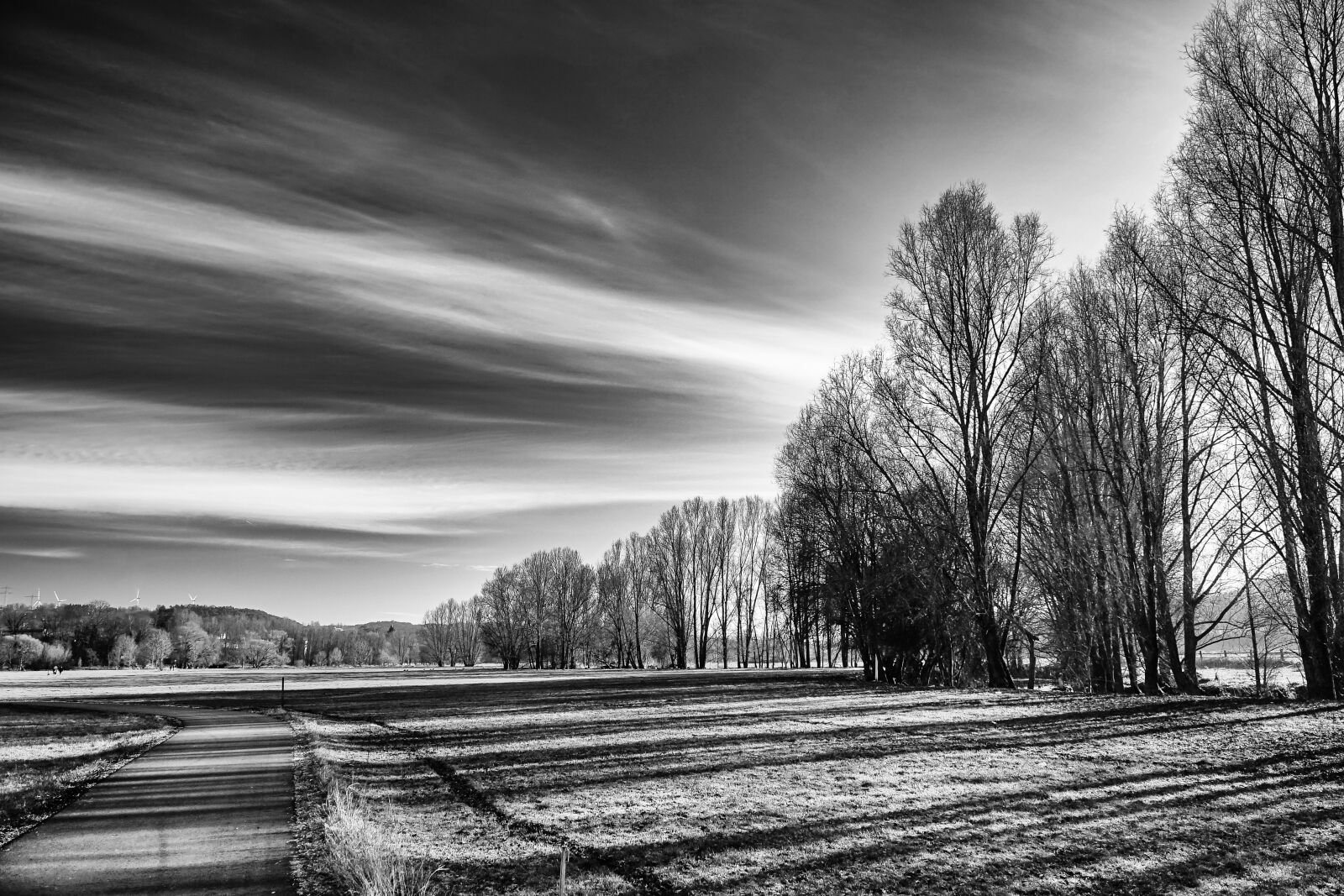 Черно белая природа. Черно белый пейзаж. Пейзаж ч/б. Природа чб. Пейзажи в черно-белом изображении.