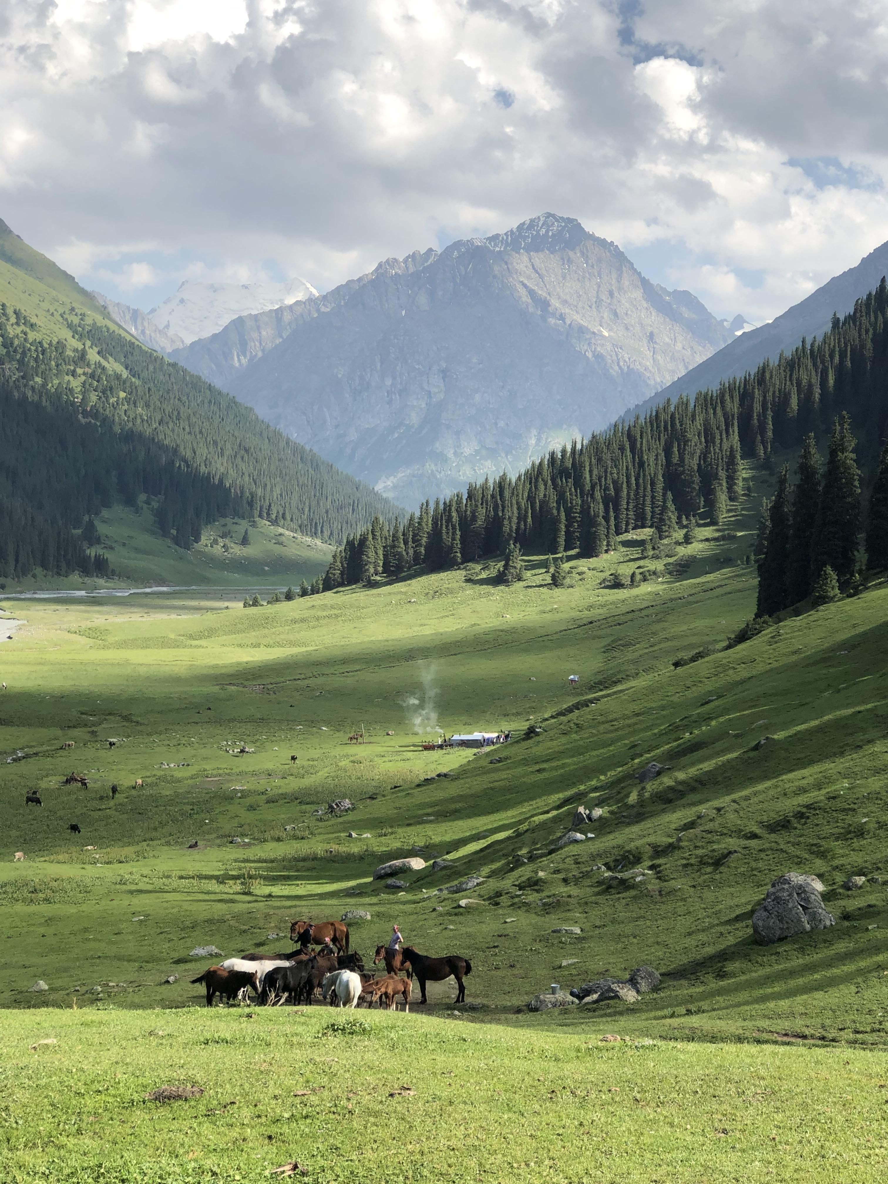 Киргизия Луга горы лошади