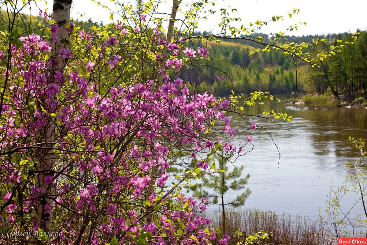 Фото в мае на природе